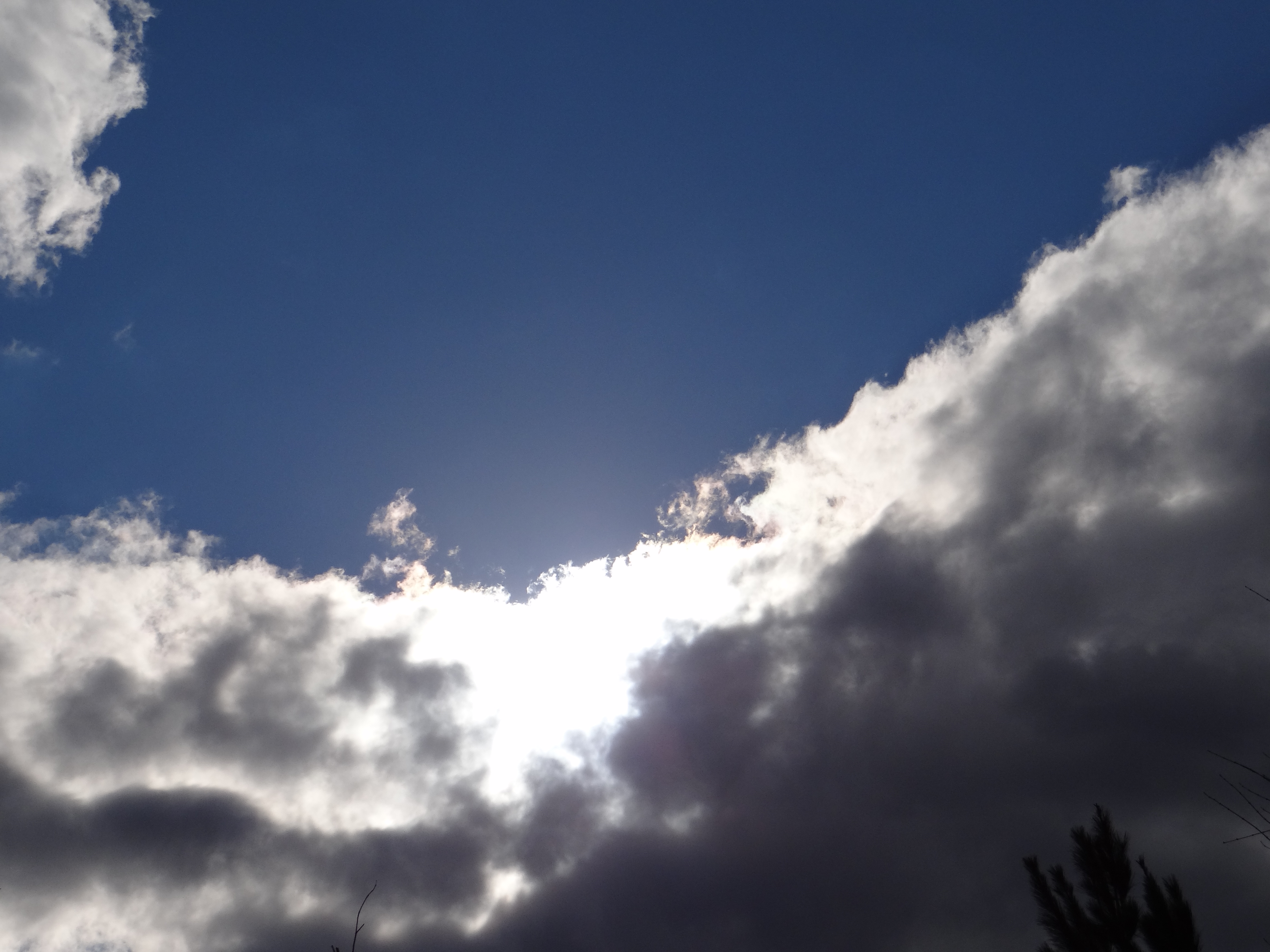 Today's a New Day~